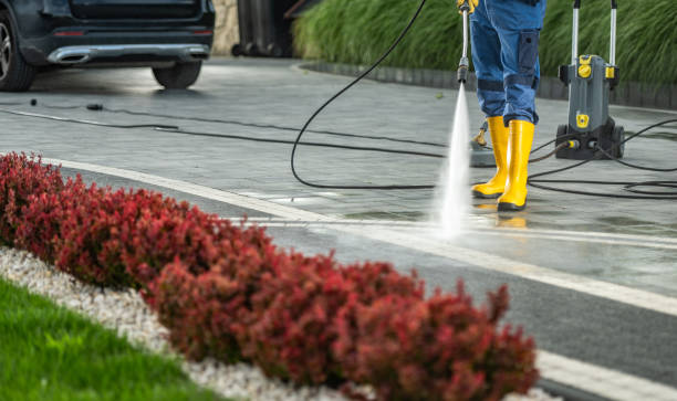 Best Fence Cleaning  in Madisonville, TX